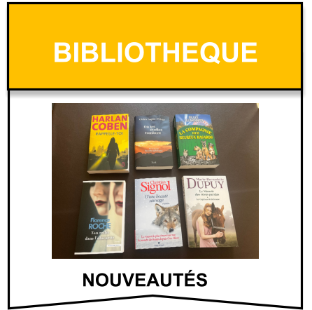 bibliotheque nouveautés